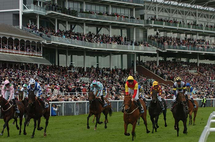 wetherby races book our party bus